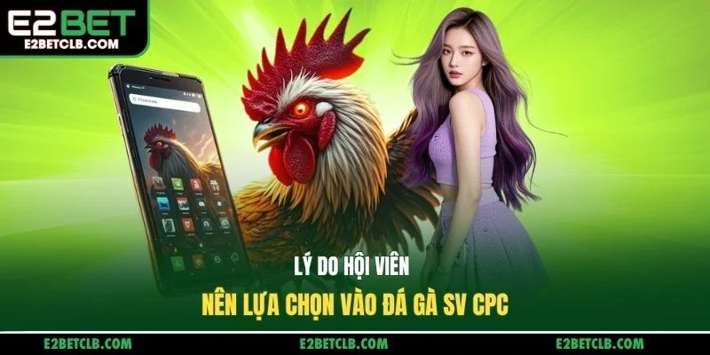 Lý do hội viên nên lựa chọn vào đá gà sv CPC